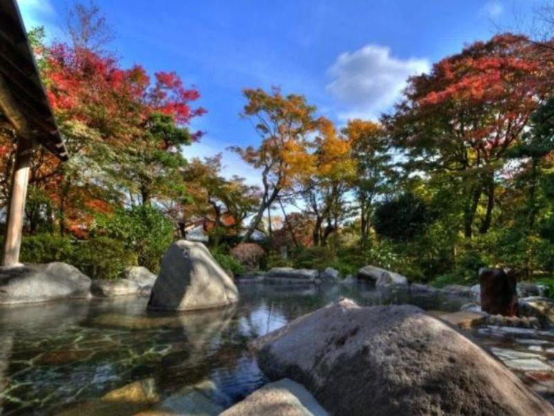 Yoshiike Ryokan Hotel Hakone Exterior foto