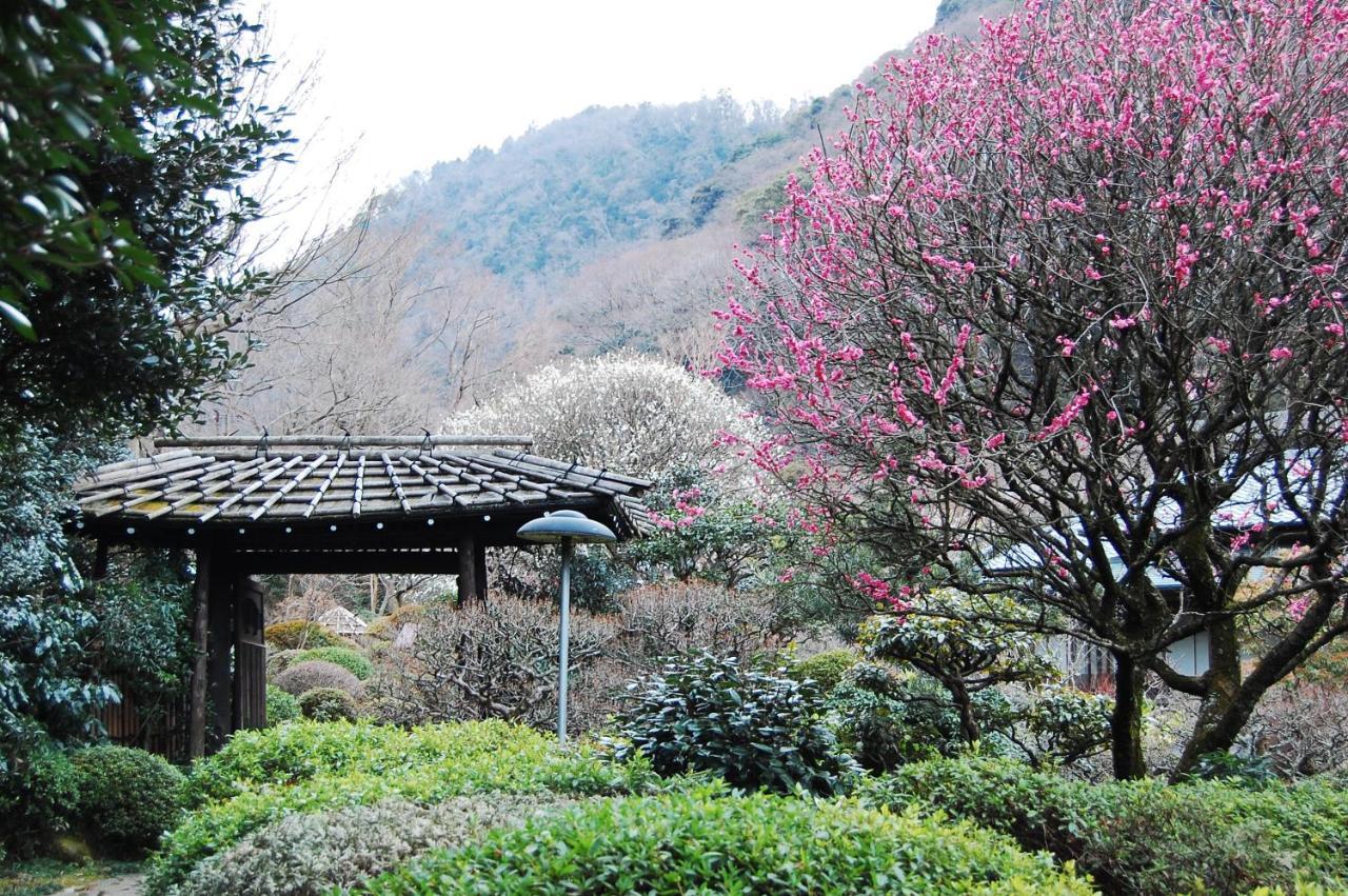 Yoshiike Ryokan Hotel Hakone Exterior foto